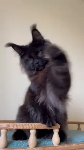 Видео отзыва
