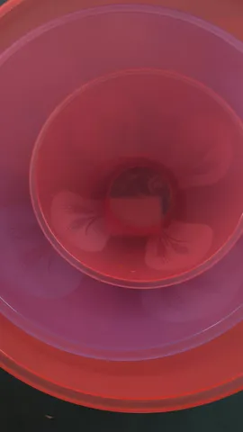 Видео отзыва